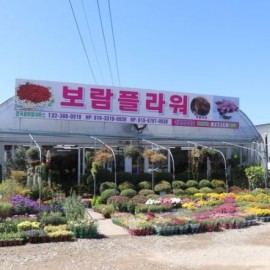 서오릉 예쁜꽃들을 만날수 있는 화훼농원