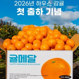 온라인상에서 핫하게 판매되고 있는 귤 한방울마다 담긴 제주 농부의 자부심! 제주 최고의 귤!
