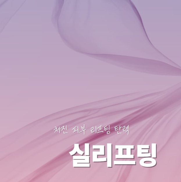 [경기 수원]처진 피부 끌어올리는 리프팅 전문