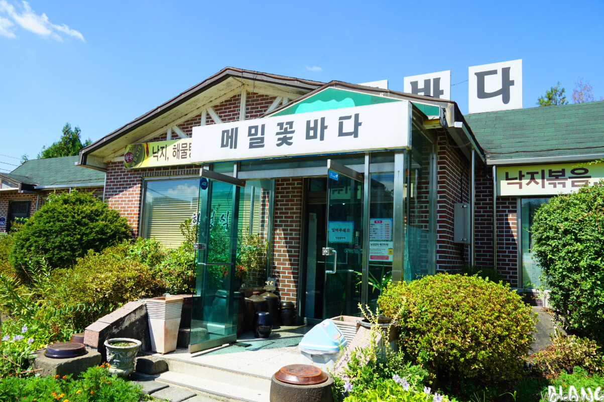 [안성 원곡]갈치조림 곤드레밥 스페셜! 연예인도 찾는 대한민국 최고의 한정식맛집 [메밀꽃바