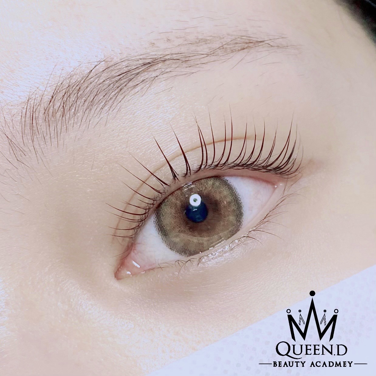 [경기 분당]분당 속눈썹펌,속눈썹연장 잘하기로 소문난 [퀸디]