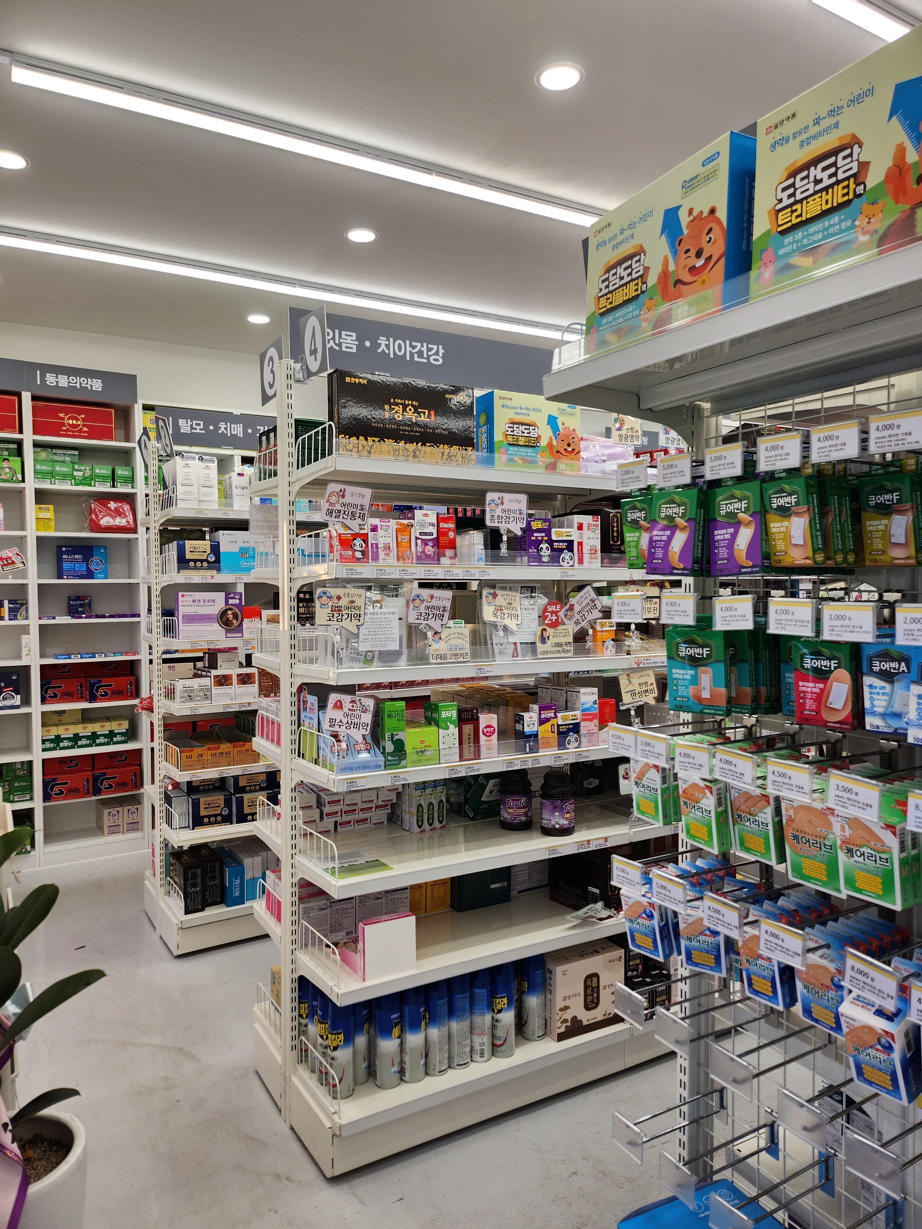 [서울 은평]은평구에서 친절하면서도 이용하기 편한 마트형 약국!