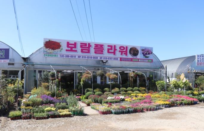 [경기 고양]서오릉 예쁜꽃들을 만날수 있는 화훼농원 [보람플라워]
