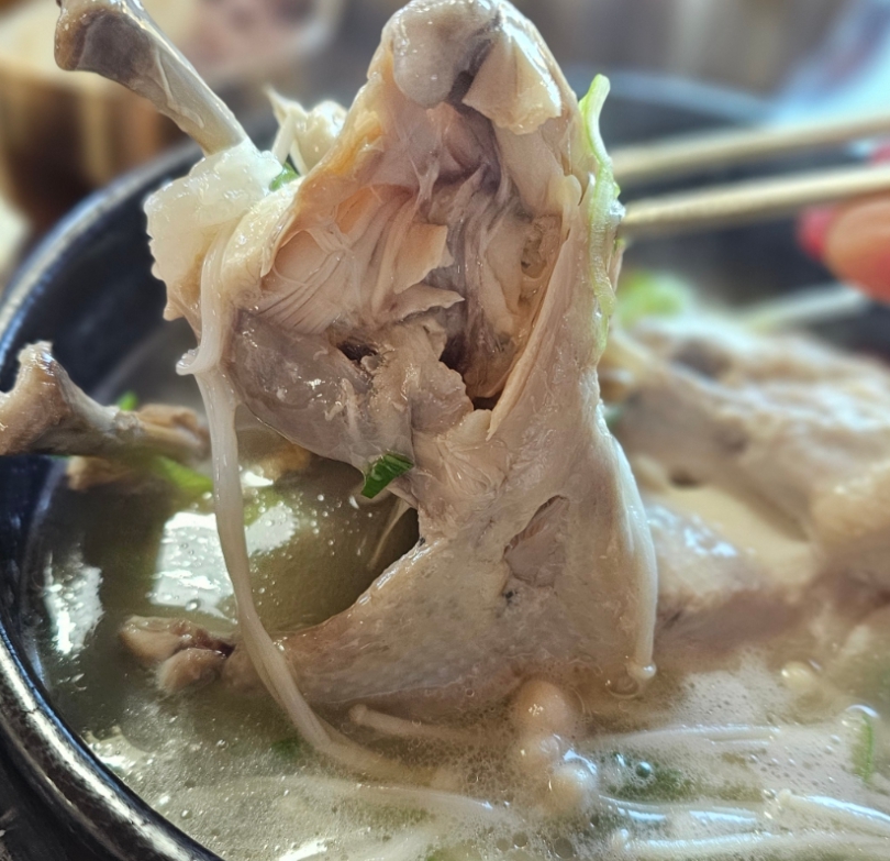 [경남 양산]진짜 좋은 자연재료 한식을 맛 볼수 있는 맛집 [약식동원 다루야]