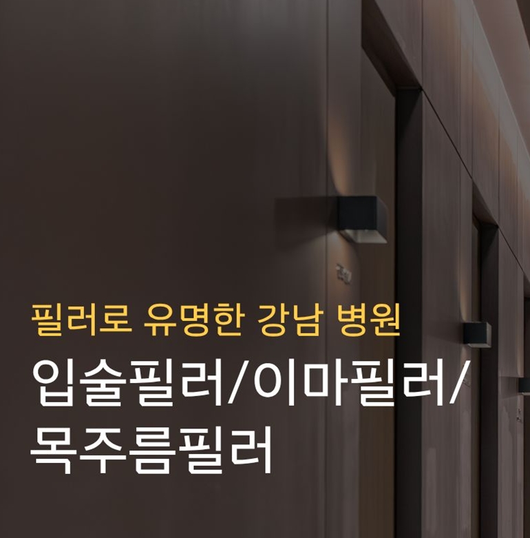 [서울 강남]선릉역 프리미엄 커스텀 필러 전문 병원